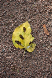 Similar image 13205867