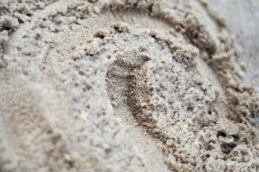 Similar image 13192560