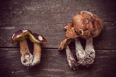 Similar image 13191170