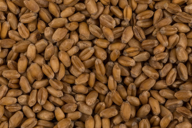 Similar image 13233041