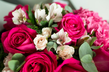 Similar image 13224958