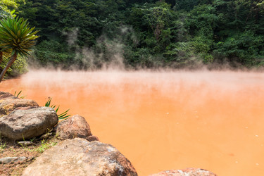 Similar image 13224754