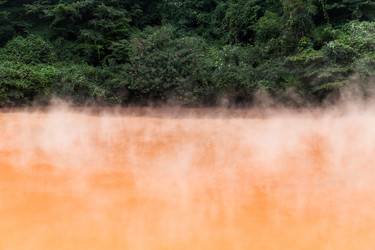 Similar image 13224805