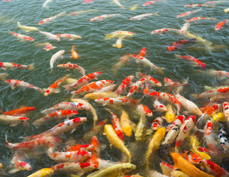 Similar image 13225097