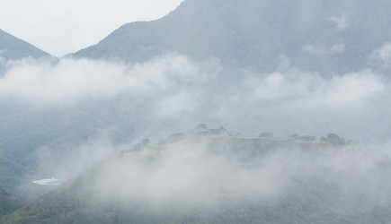 Similar image 13226533