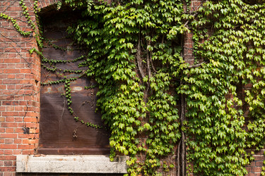 Similar image 13227122