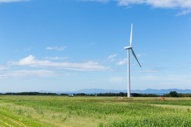 Similar image 13226754