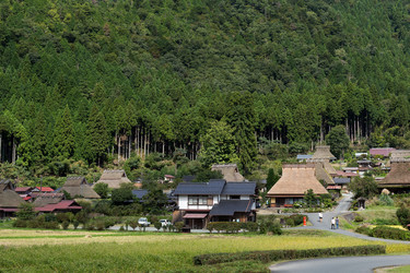 Similar image 13228064