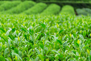 Similar image 13226412