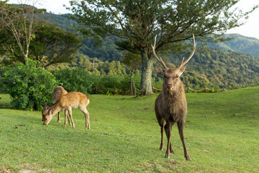 Similar image 13226433