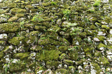 Similar image 13227654