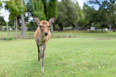 Similar image 13227697