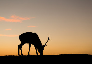 Similar image 13227747