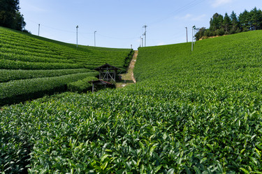 Similar image 13227953