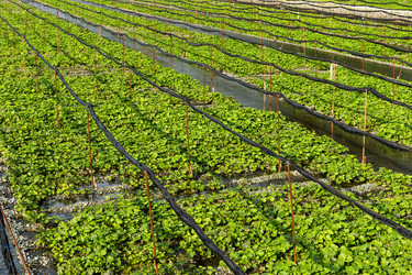 Similar image 13224861