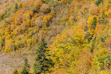 Similar image 13226354