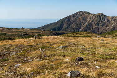 Similar image 13225741