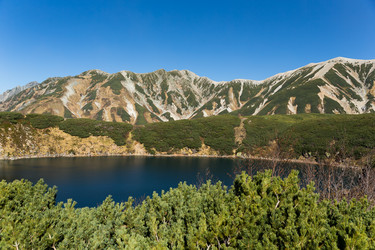 Similar image 13227699