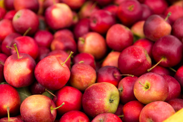 Similar image 13227848