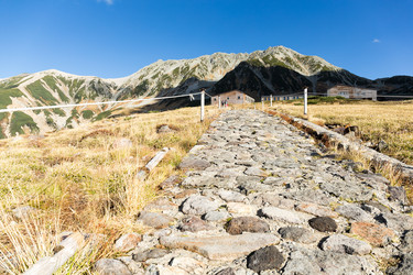 Similar image 13228032