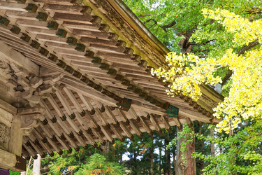 Similar image 13228033