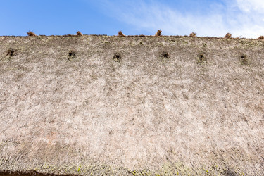 Similar image 13224809