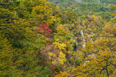 Similar image 13224842