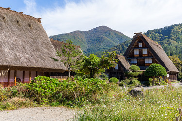 Similar image 13224881