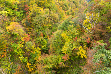 Similar image 13226585