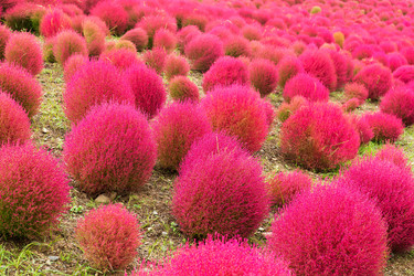 Similar image 13226670