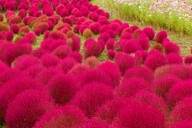 Similar image 13226756