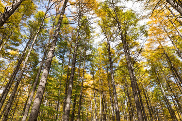 Similar image 13227661