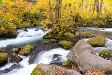 Similar image 13227682