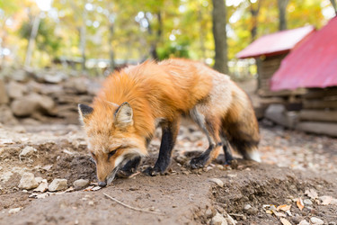 Similar image 13200742