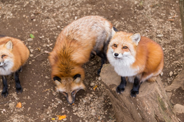 Similar image 13201131