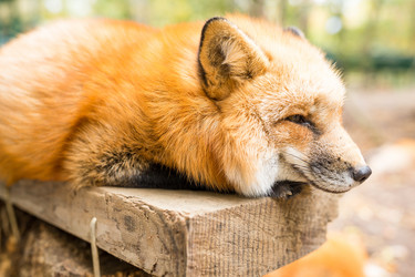 Similar image 13201191