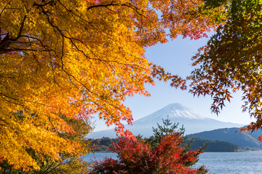 Similar image 13201204