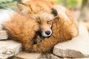 Similar image 13201211