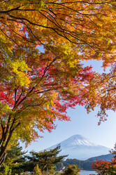 Similar image 13201353