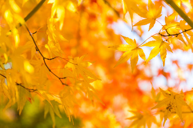 Similar image 13201370