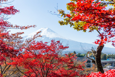 Similar image 13200316