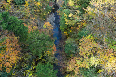 Similar image 13200729