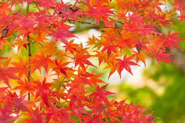 Similar image 13200770