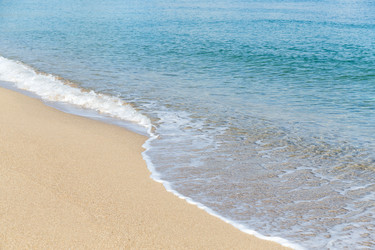 Similar image 13225856