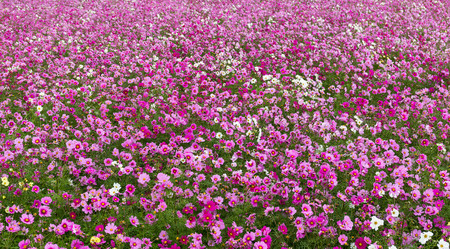 Similar image 13226538