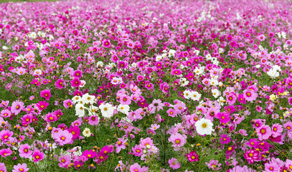 Similar image 13201080