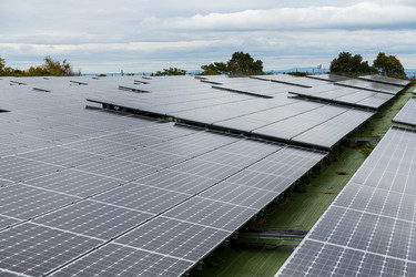 Similar image 13201151