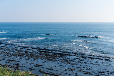 Similar image 13201767