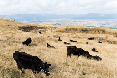 Similar image 13200348