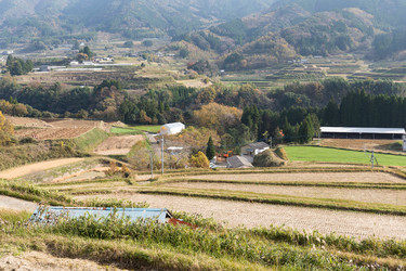 Similar image 13200435